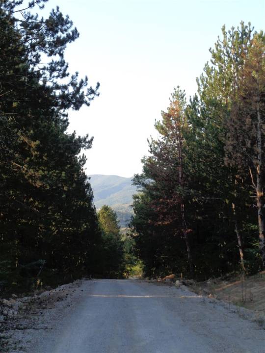 duga_poljana_put_2_original